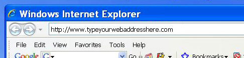 Type the PleaseRateUs address found on your receipt into the address bar of your browser.